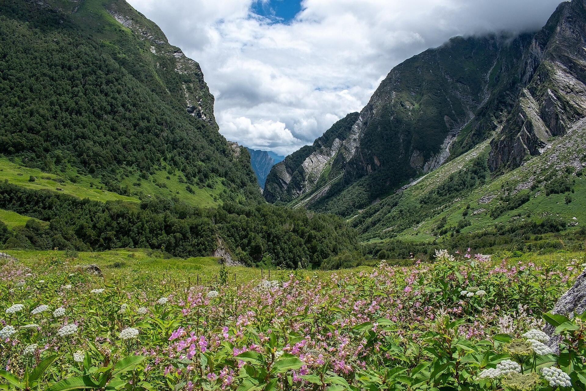 Valley of Flowers